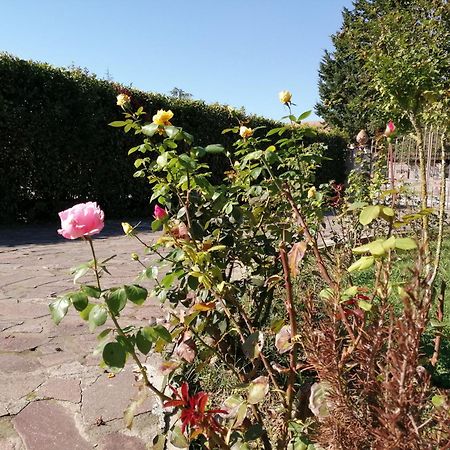 Villa Oasi San Giuliano Terme Exterior foto